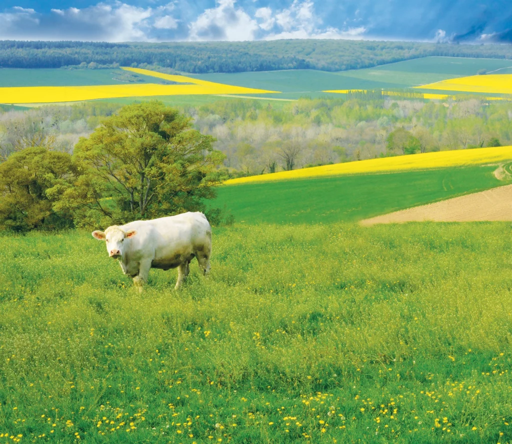 WACC - 1er championnat du monde de cyclisme en agriculture