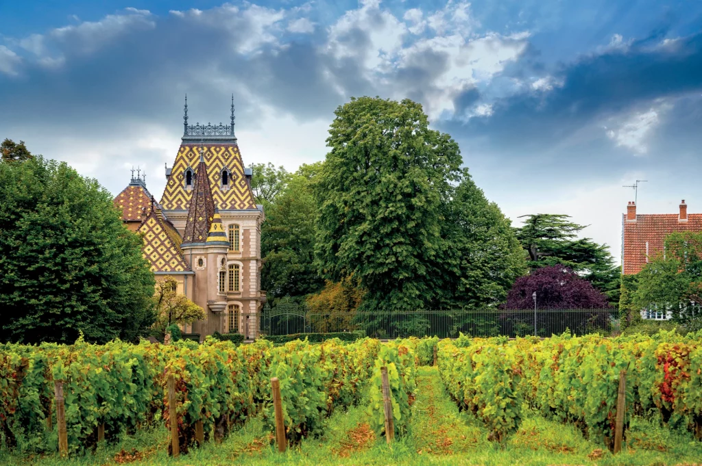 WACC - 1er championnat du monde de cyclisme en agriculture